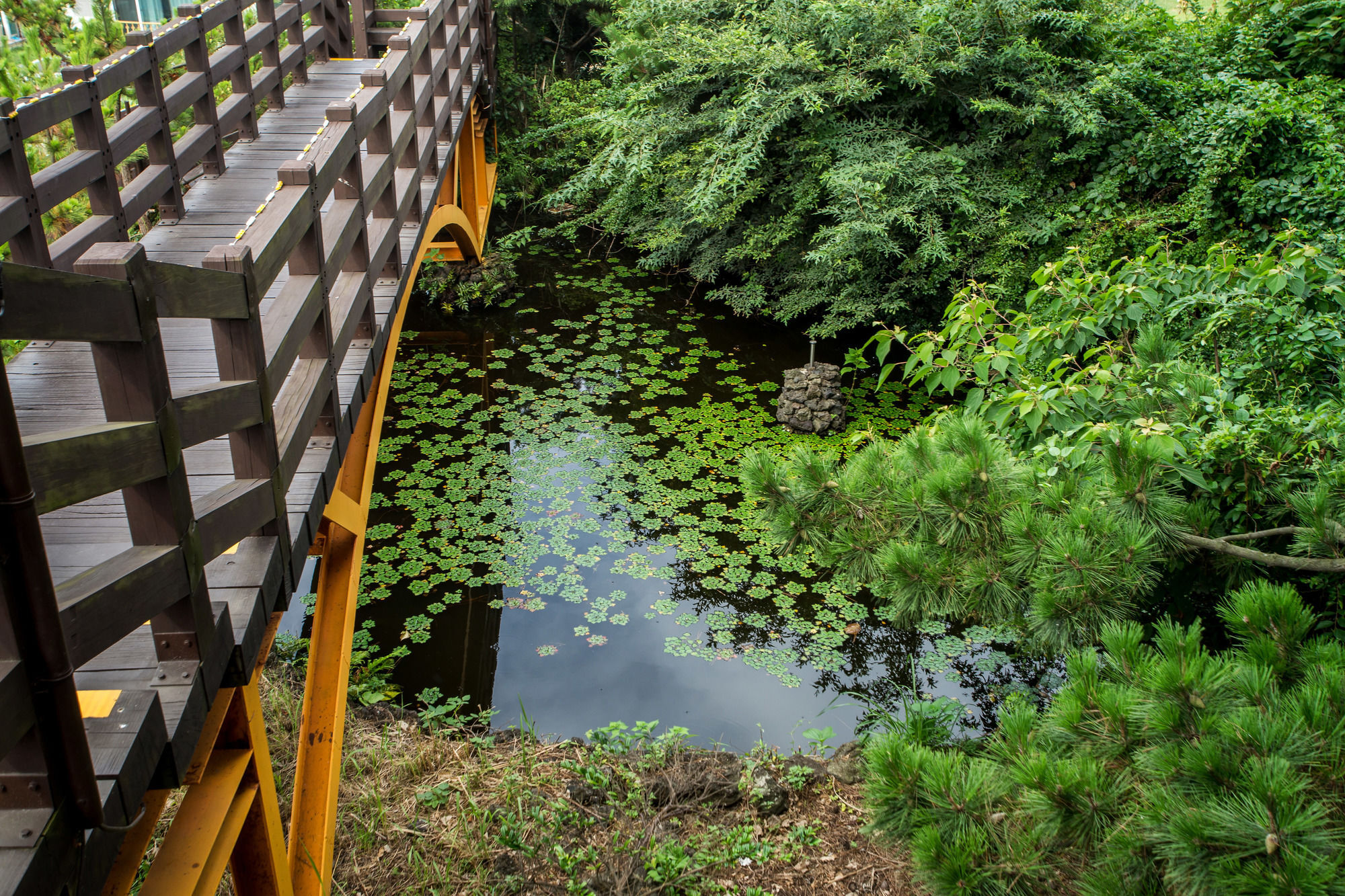 Witch'S Broomstick Jeju Eksteriør billede